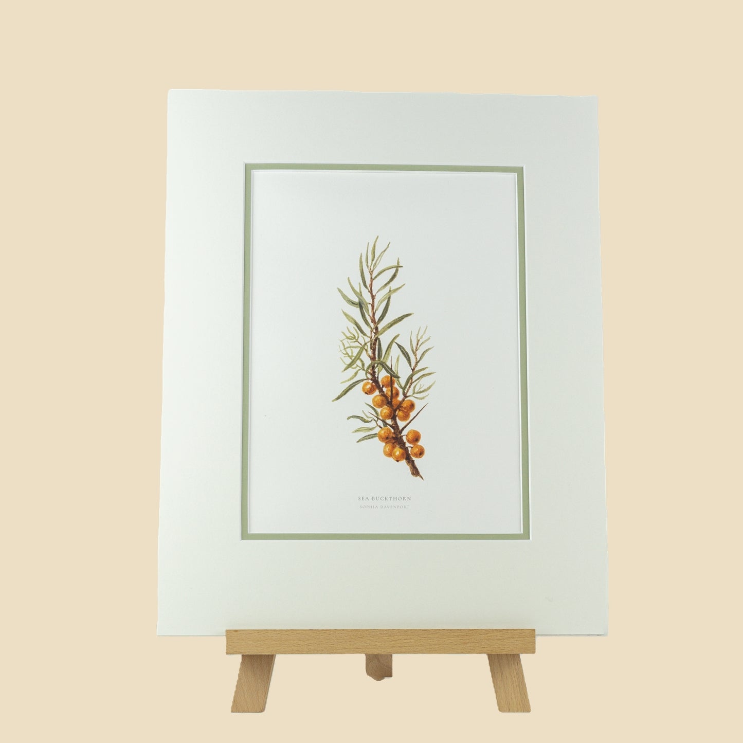 Sea Buckthorn