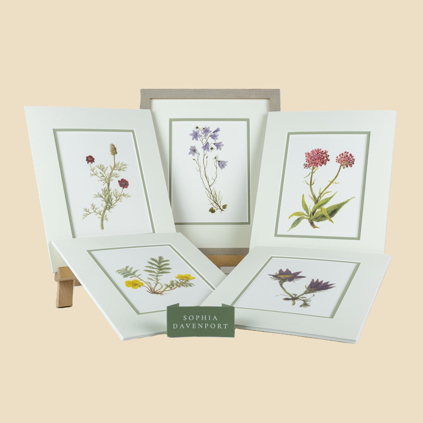 Wildflower Art Prints