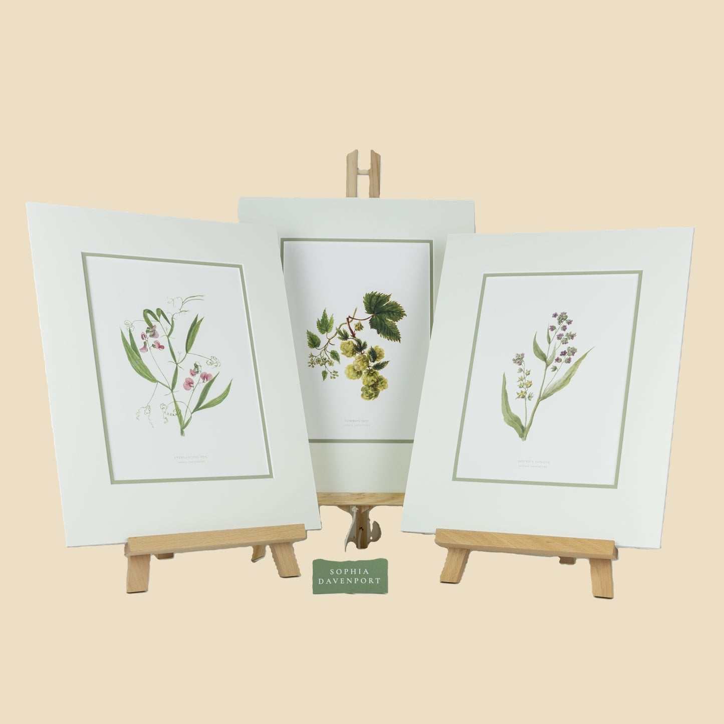 Wildflower Art Prints