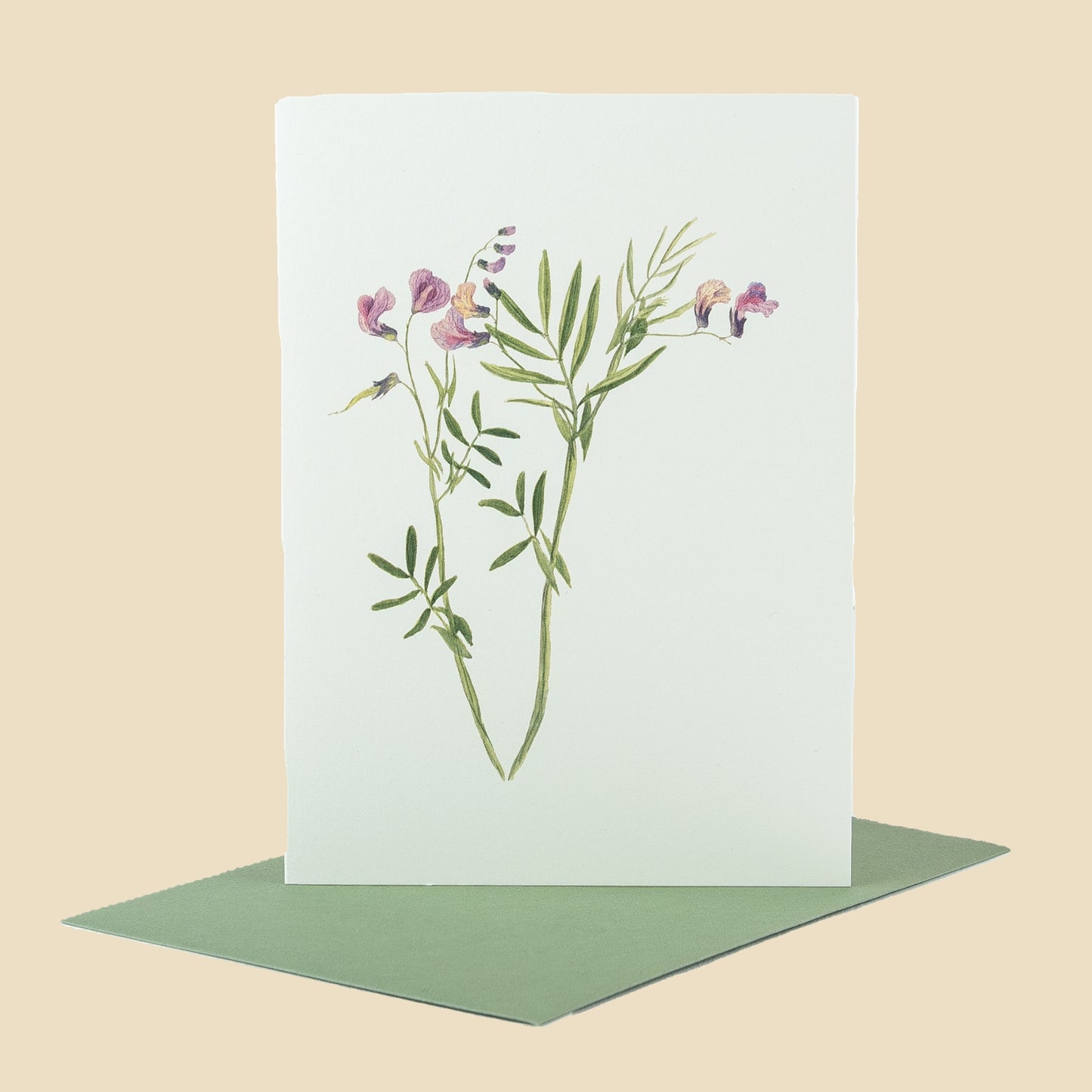 Heath Pea
