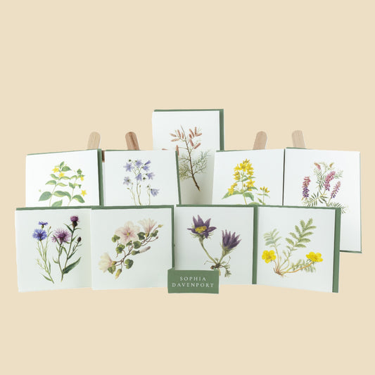 Wildflower Cards and Notelets