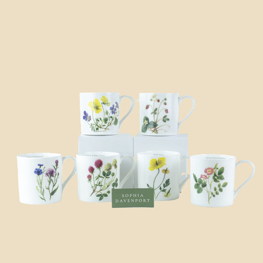 Wildflower Mugs