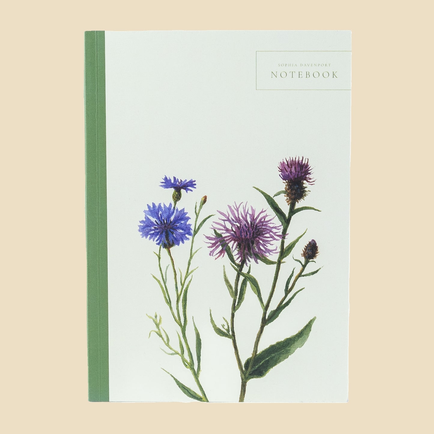 Cornflower