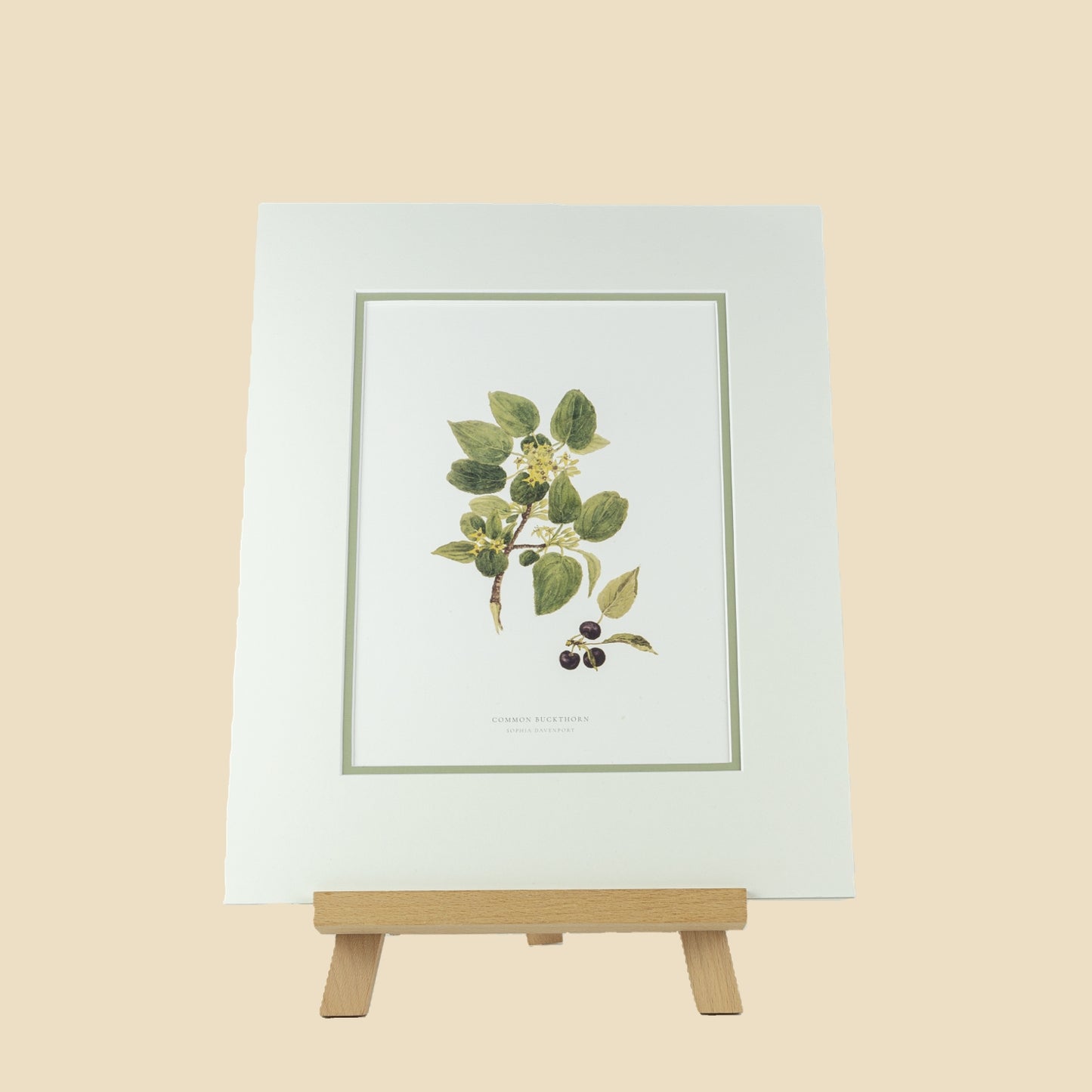 Buckthorn