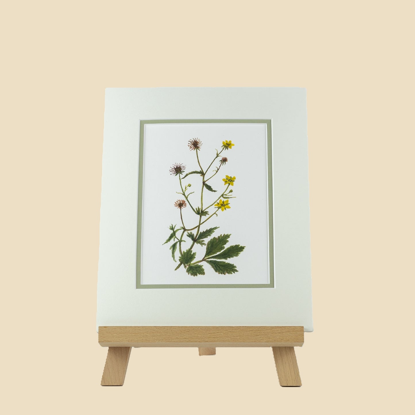 Herb Bennet