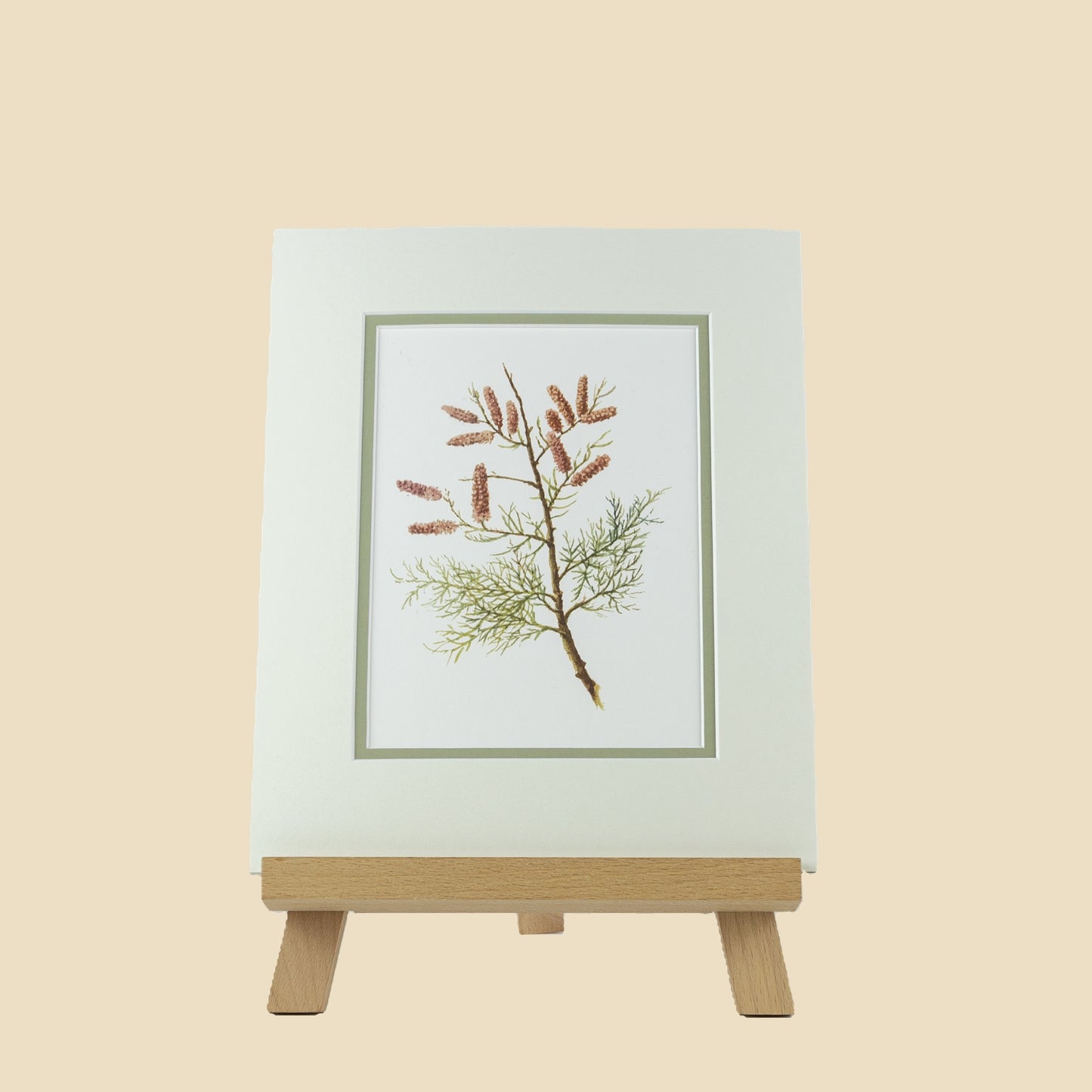 Tamarisk