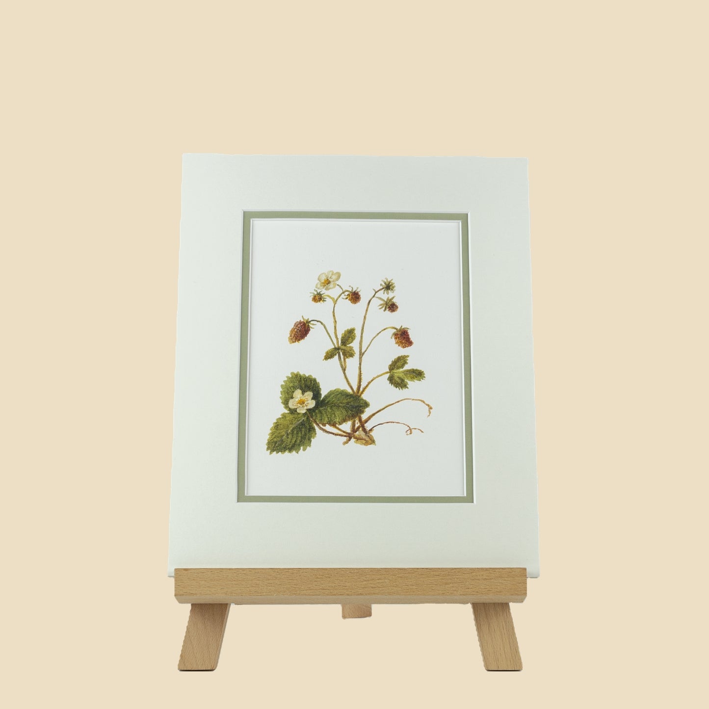 Wild Strawberry