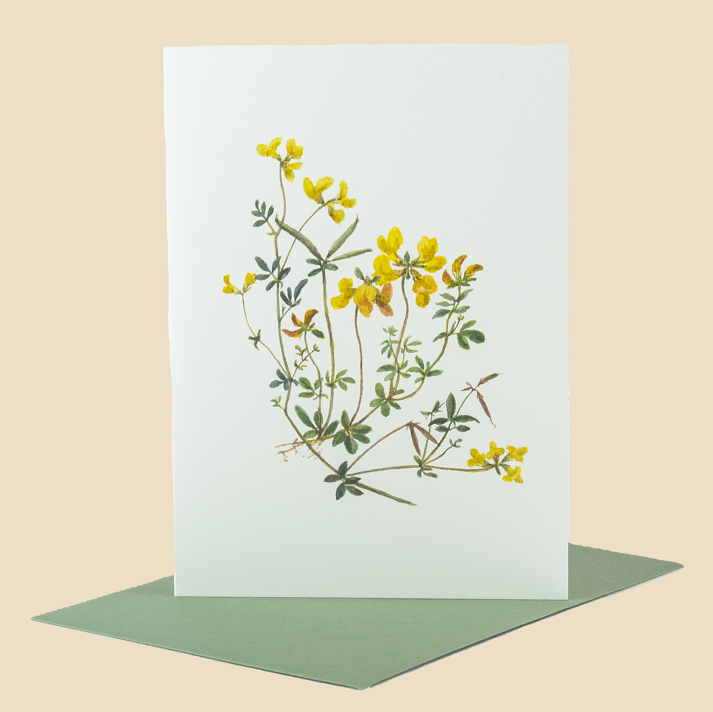 Wildflower Greeting Cards and Notelets