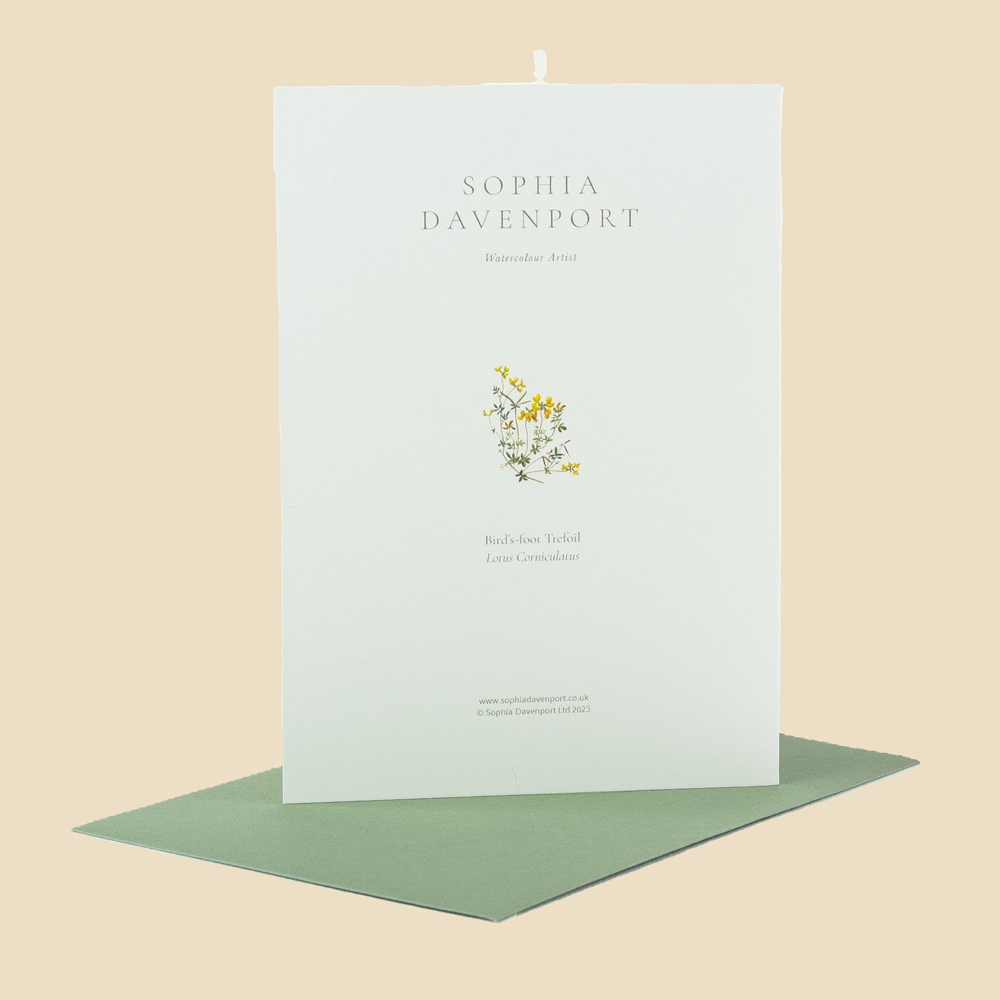 Wildflower Greeting Cards and Notelets