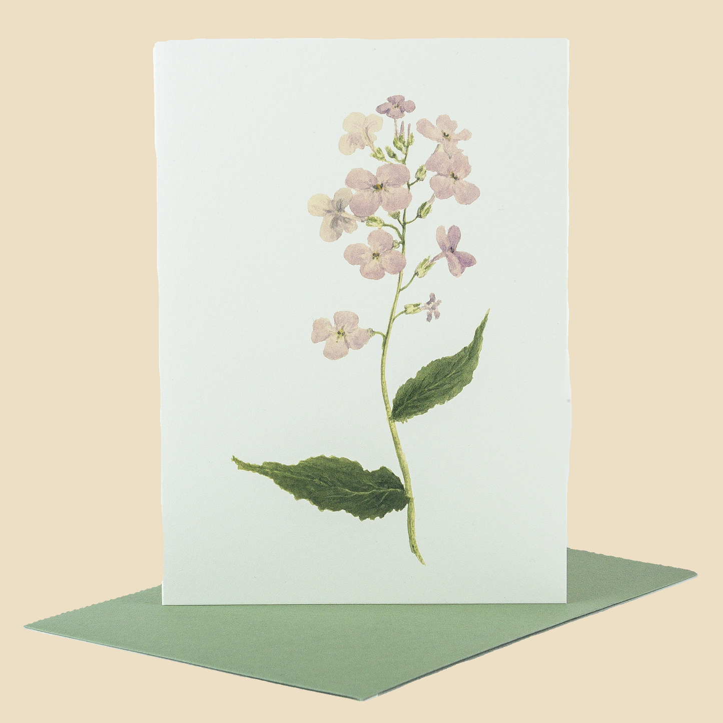 Wildflower Greeting Cards and Notelets