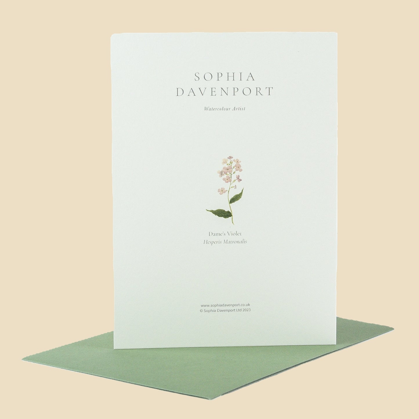Wildflower Greeting Cards and Notelets