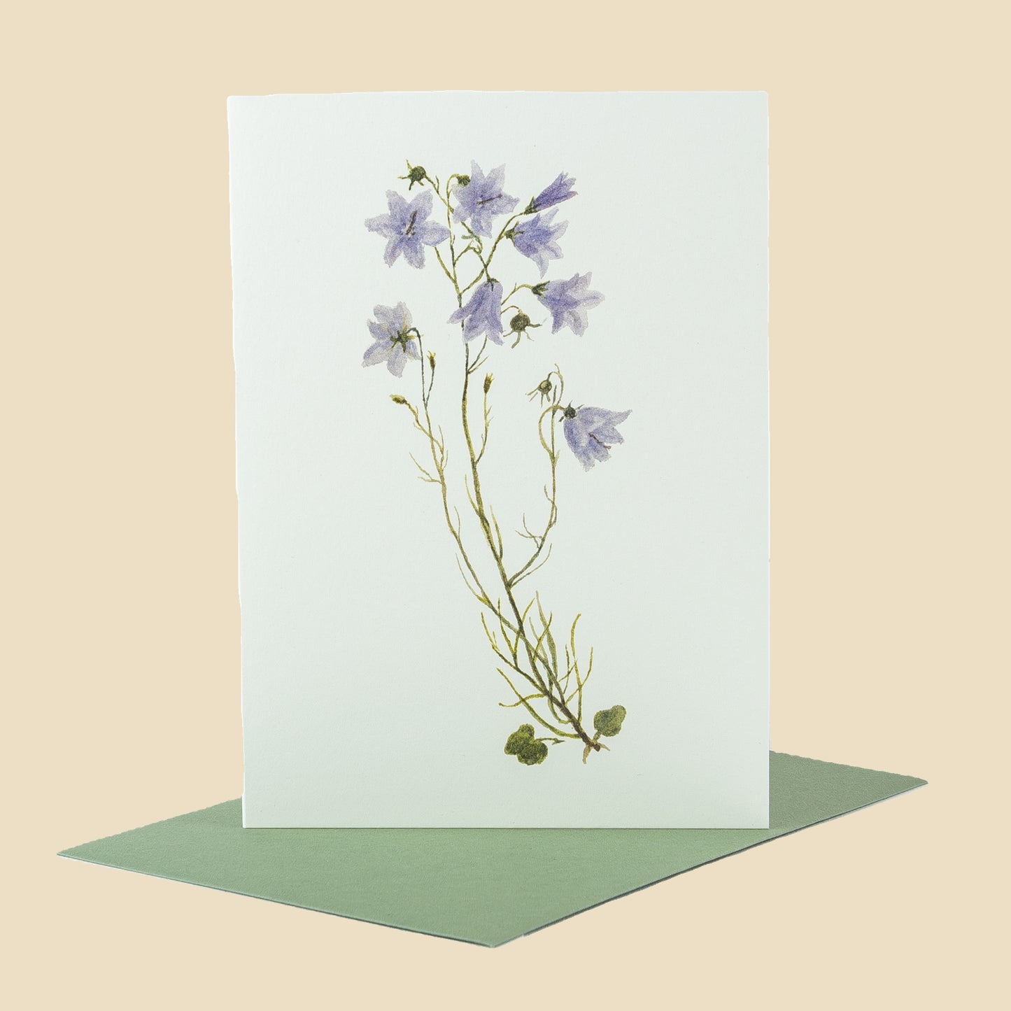 Harebell