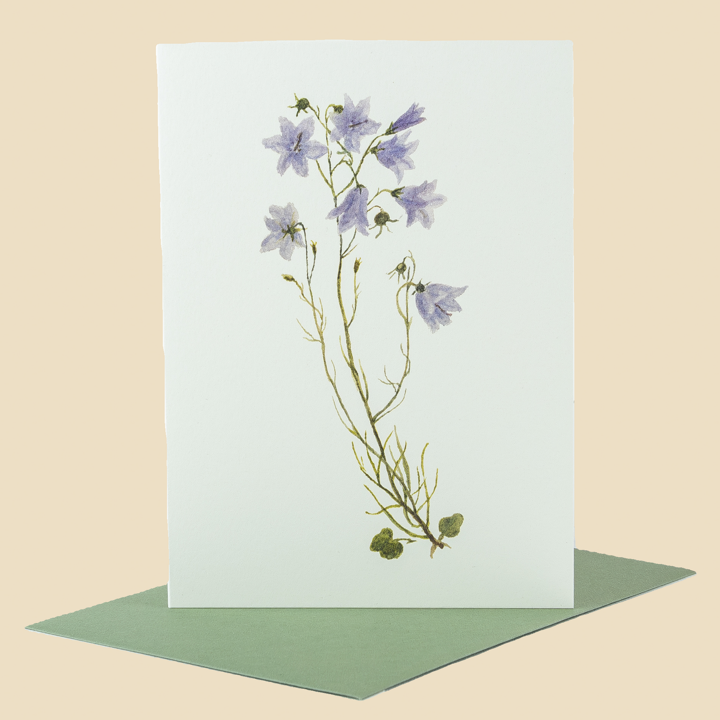 Wildflower Greeting Cards and Notelets