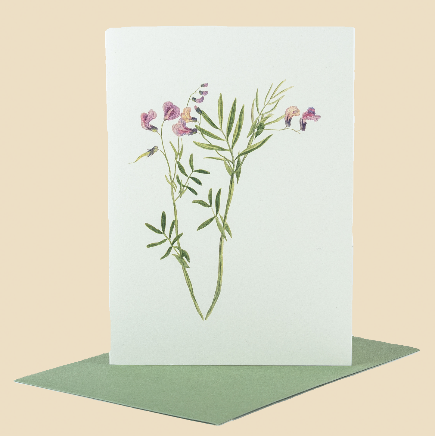 Wildflower Greeting Cards and Notelets