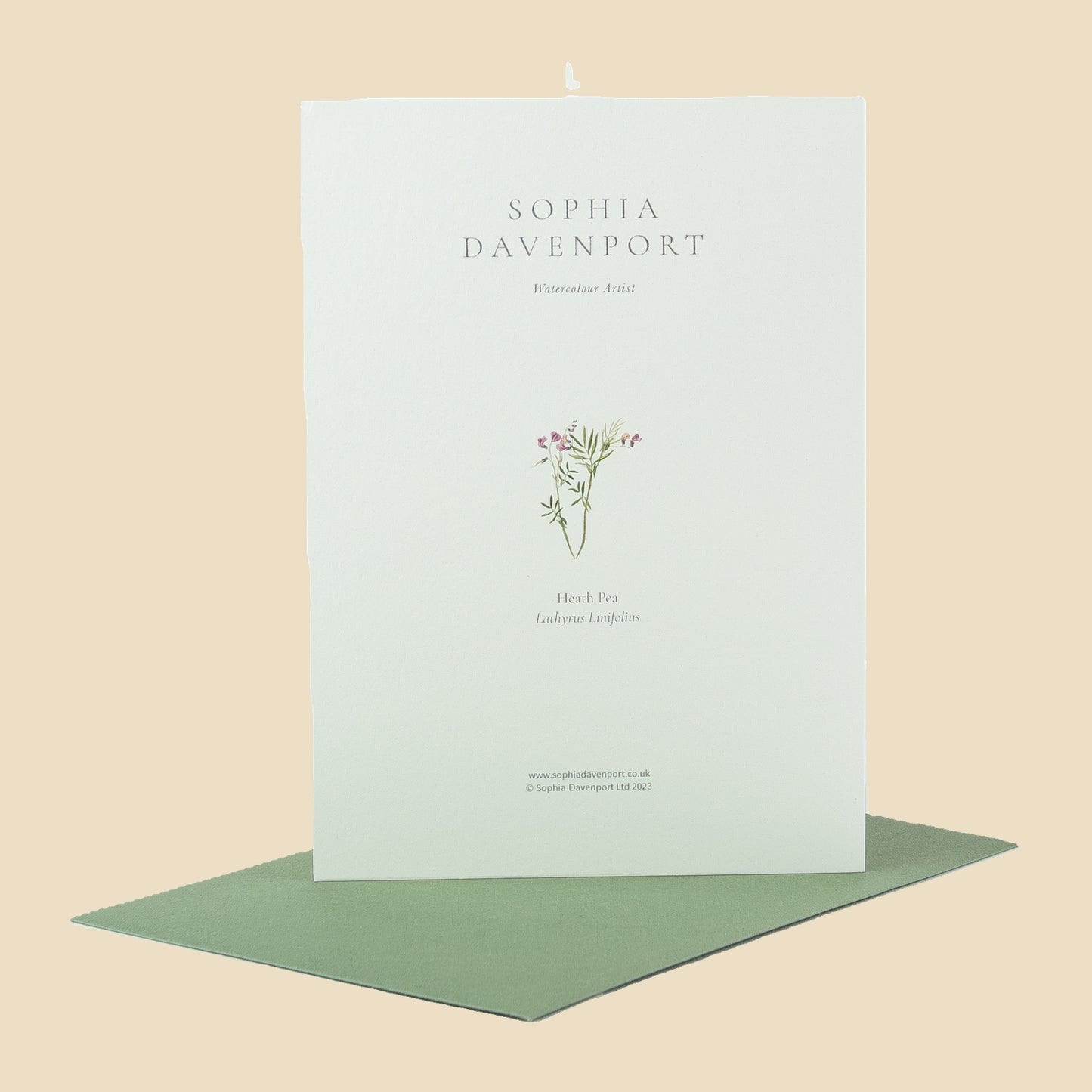 Wildflower Greeting Cards and Notelets
