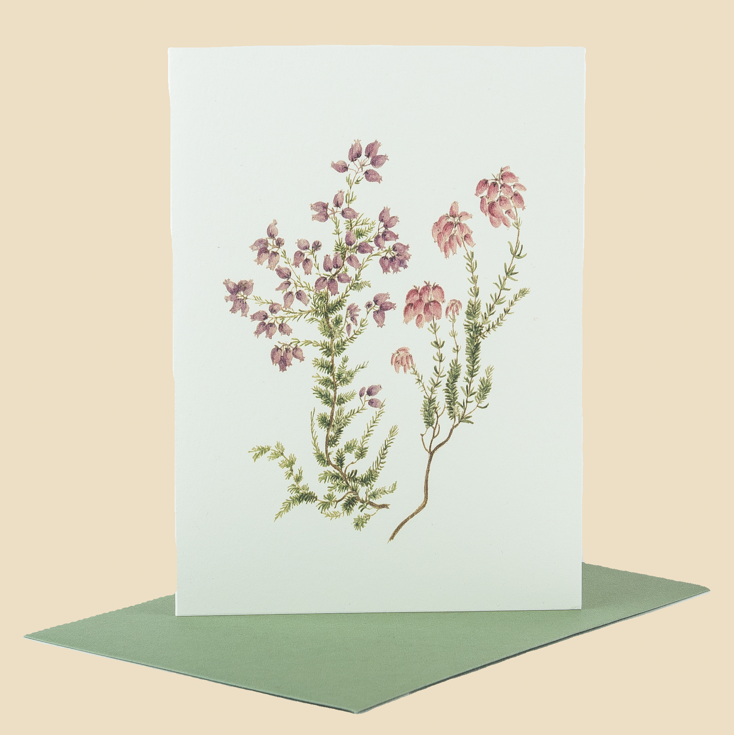 Wildflower Greeting Cards and Notelets