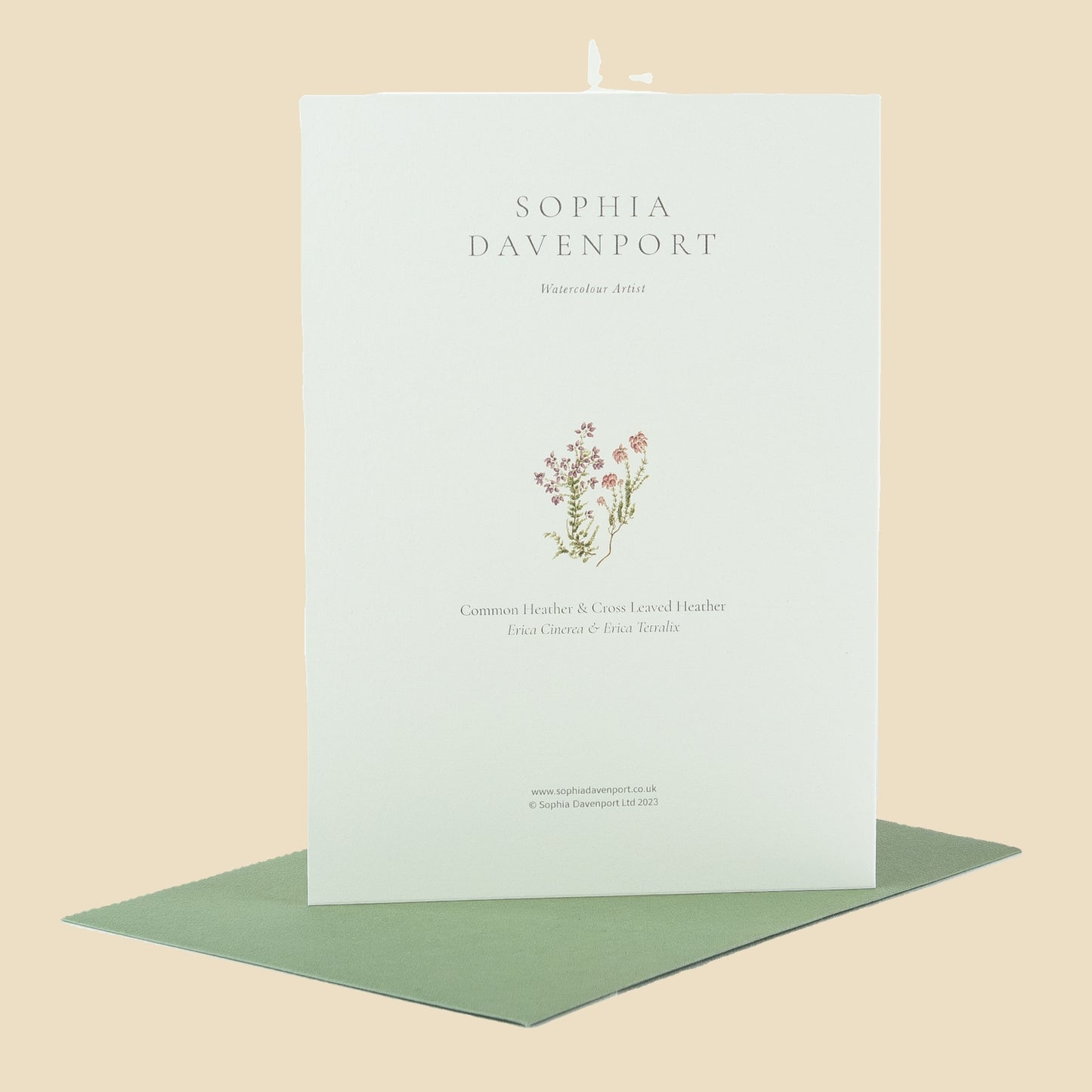 Wildflower Greeting Cards and Notelets