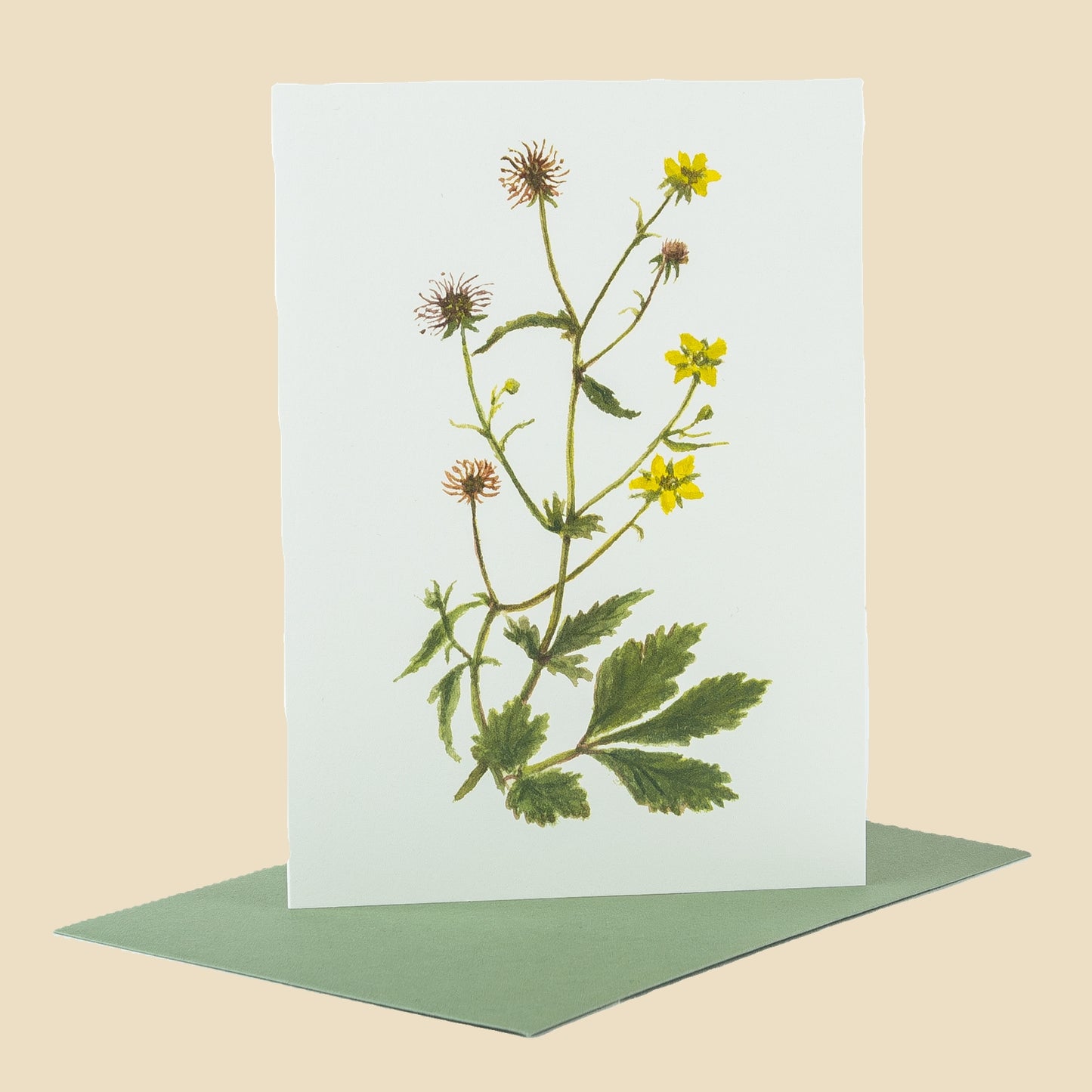 Herb Bennet