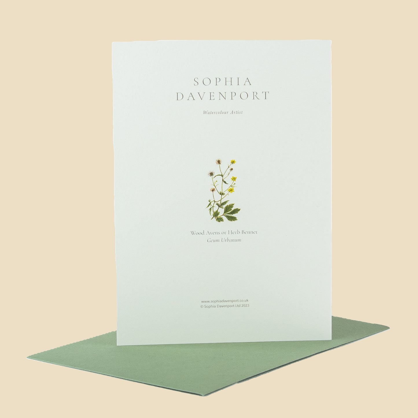 Wildflower Greeting Cards and Notelets