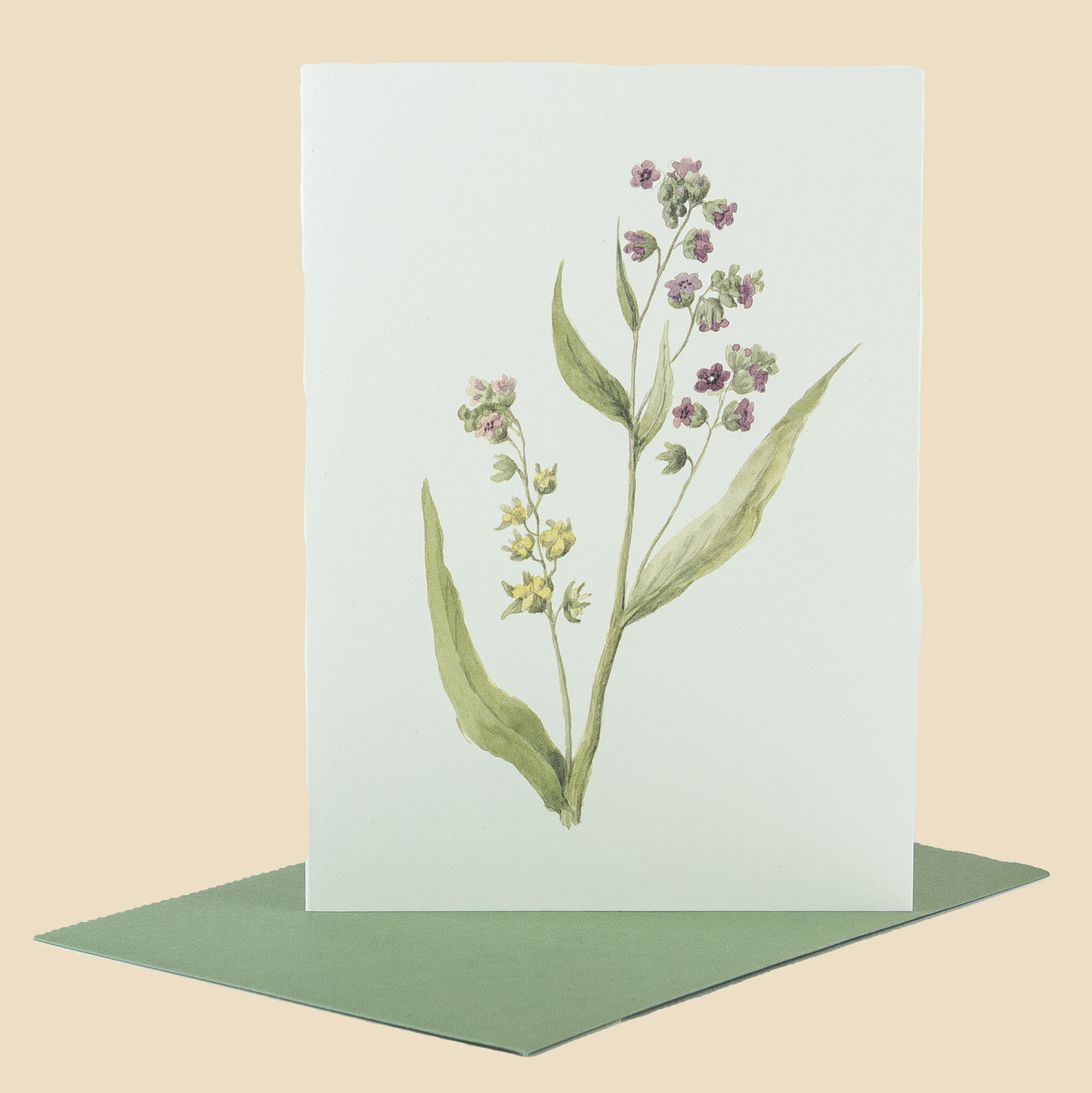 Wildflower Greeting Cards and Notelets