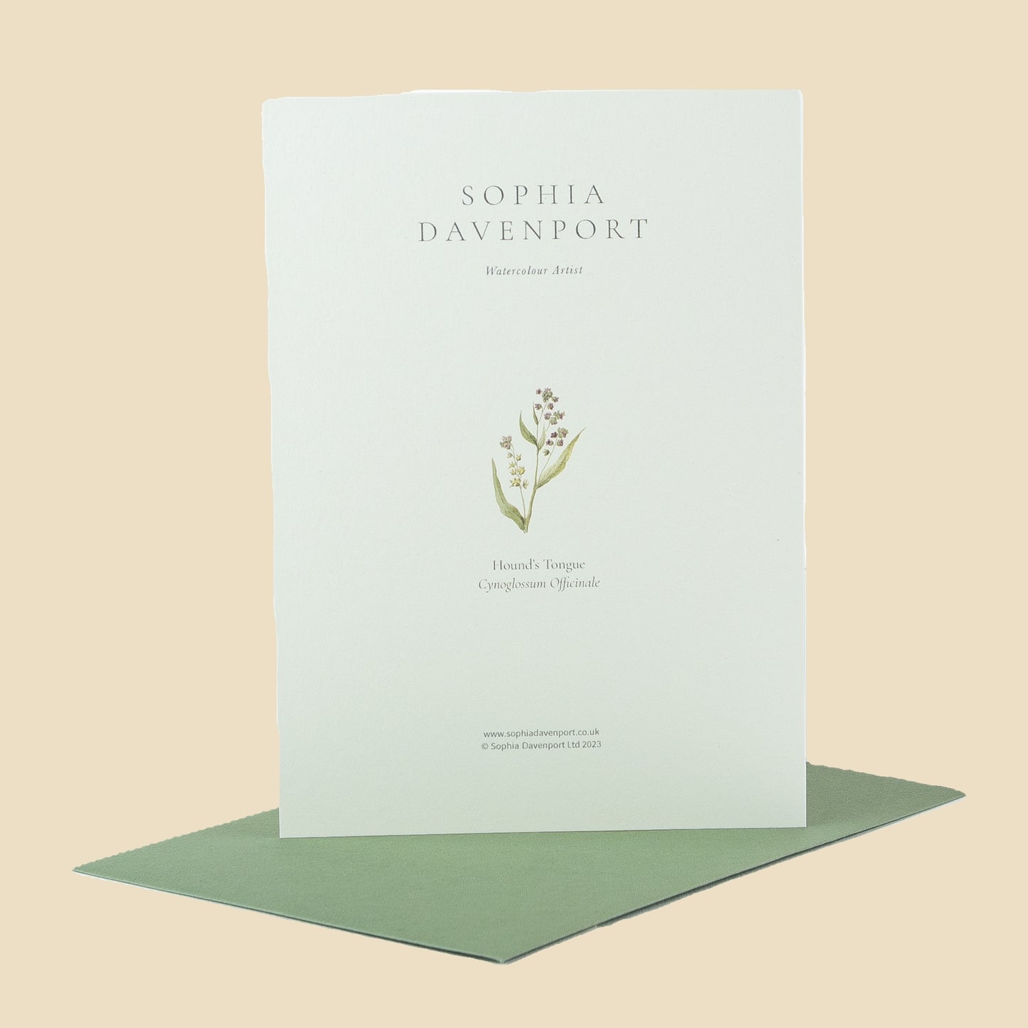 Wildflower Greeting Cards and Notelets