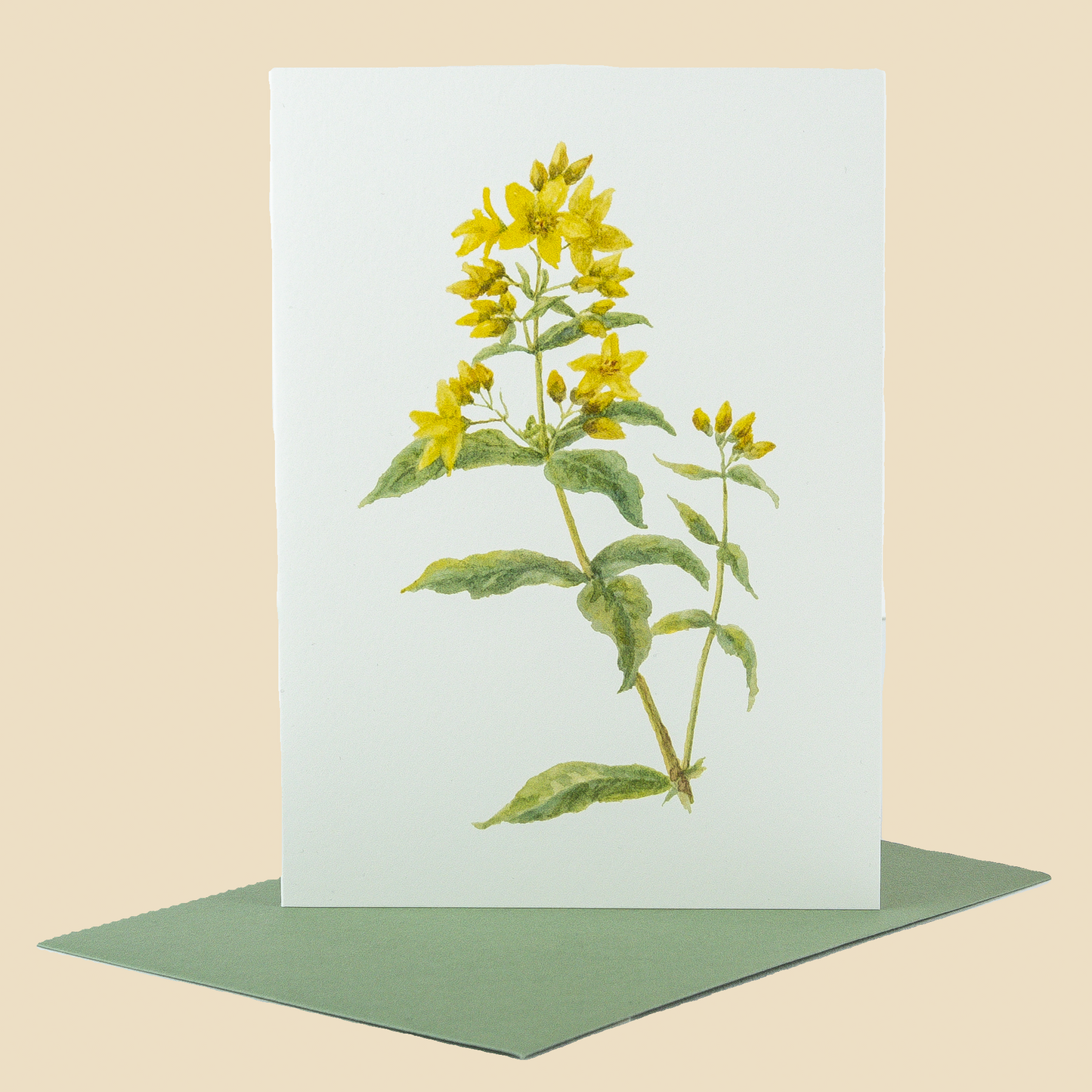 Wildflower Greeting Cards and Notelets