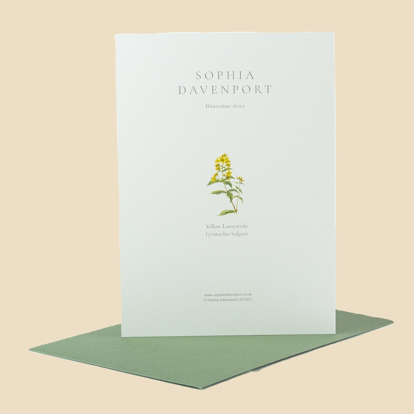 Wildflower Greeting Cards and Notelets