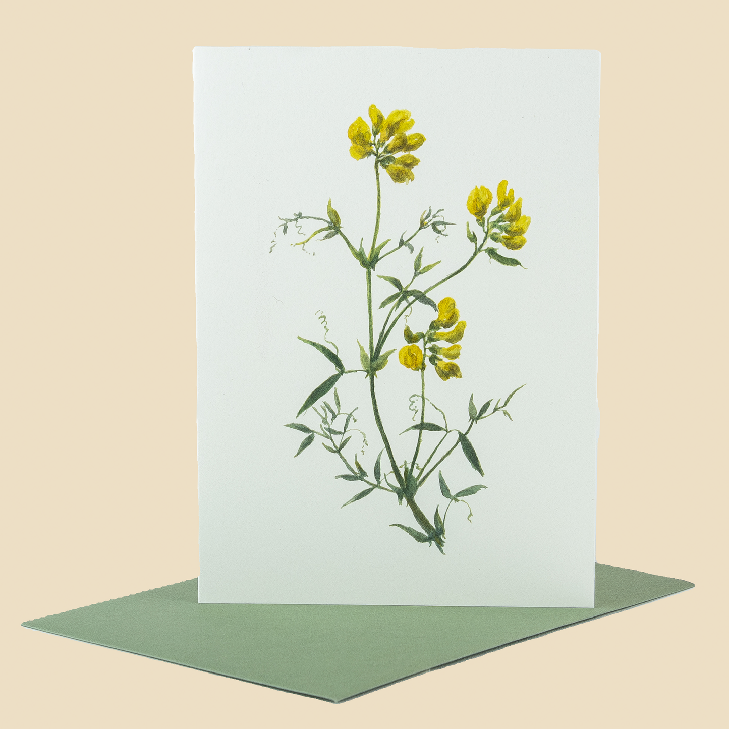 Wildflower Greeting Cards and Notelets