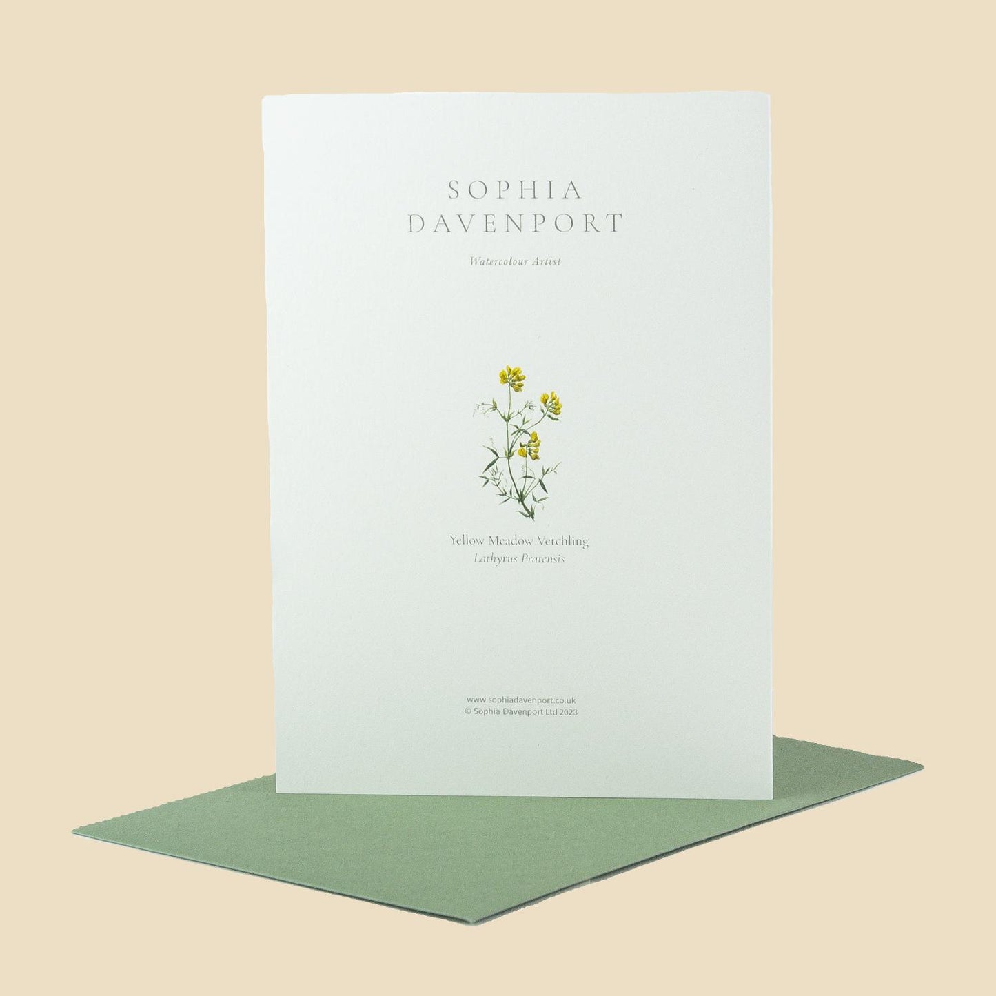 Wildflower Greeting Cards and Notelets