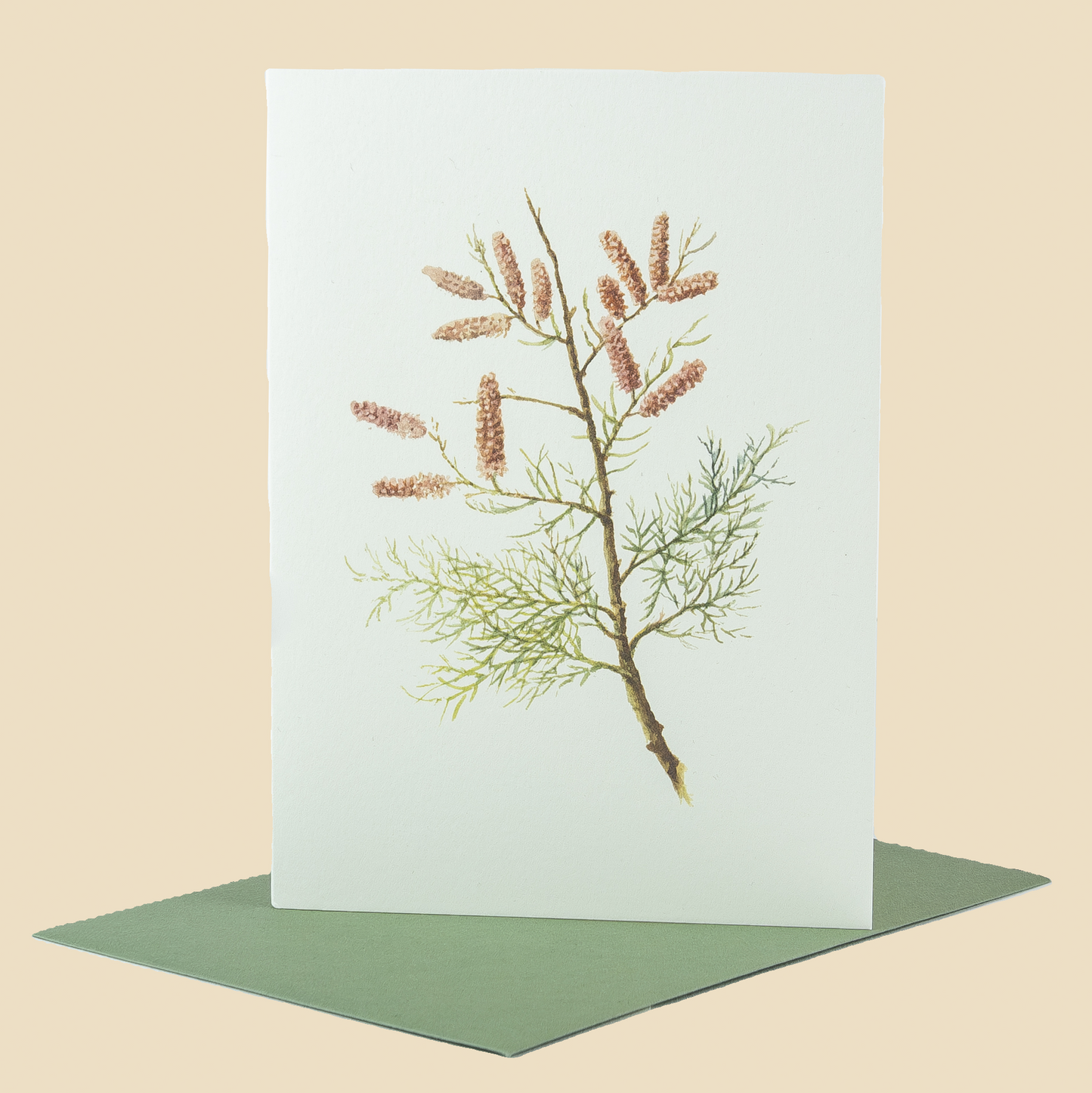 Wildflower Greeting Cards and Notelets