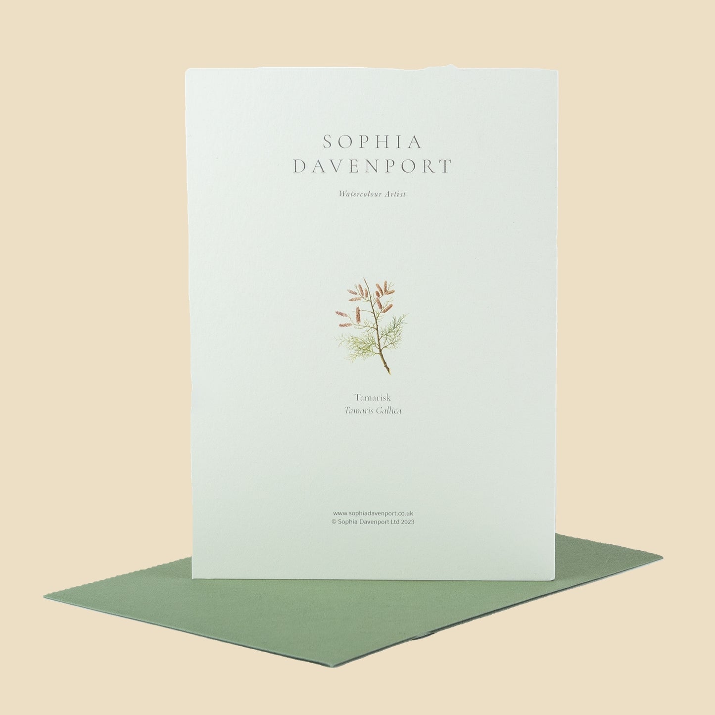 Wildflower Greeting Cards and Notelets