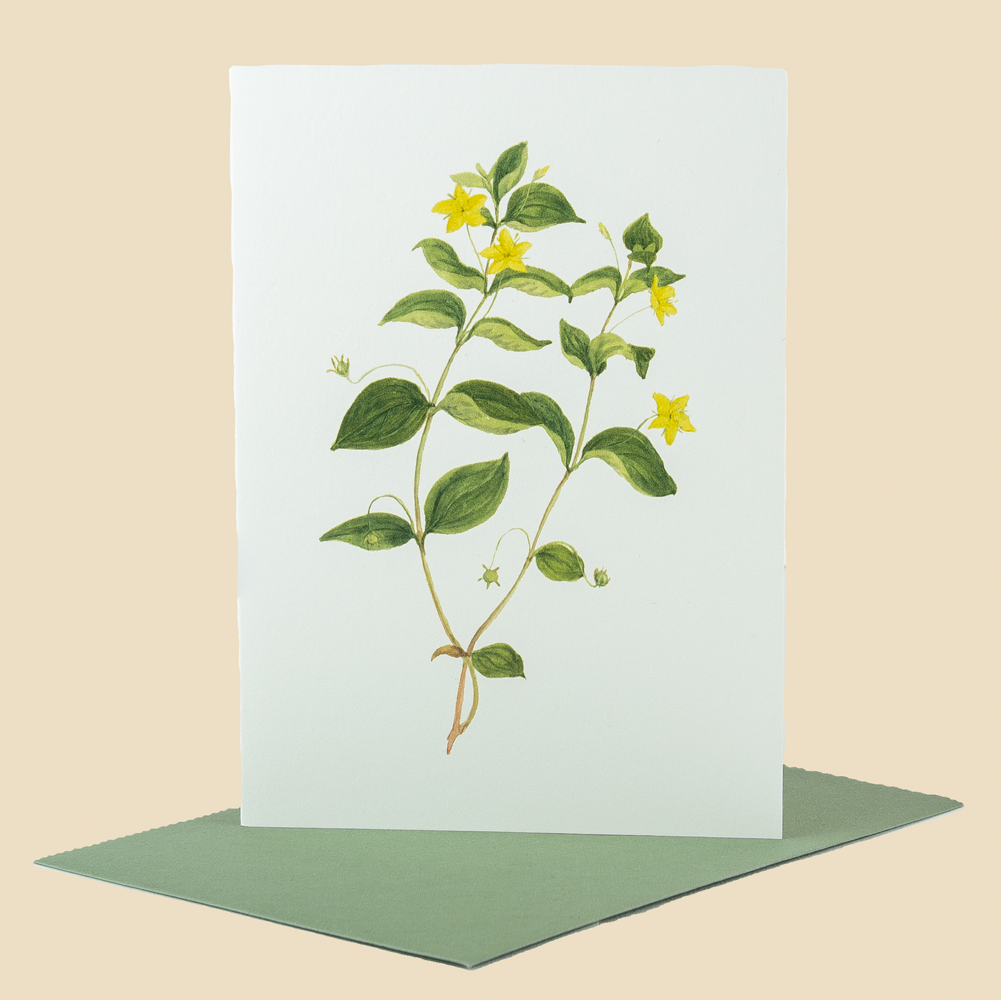 Wildflower Greeting Cards and Notelets