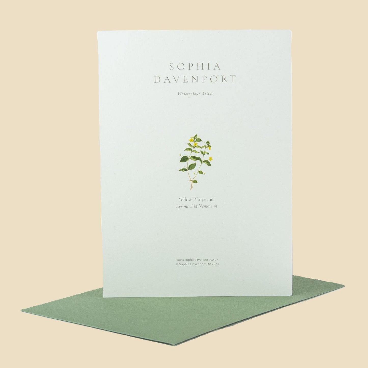 Wildflower Greeting Cards and Notelets