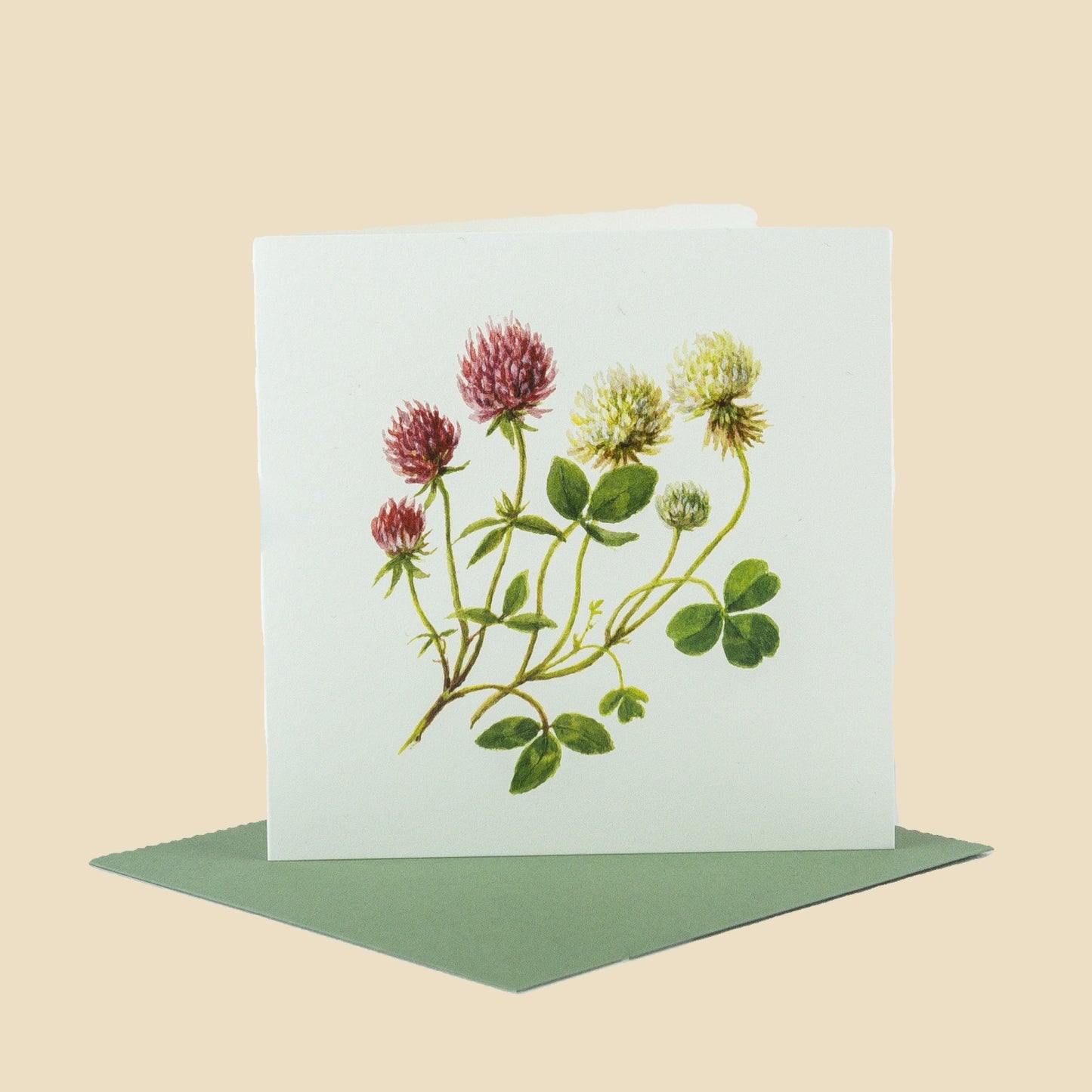 Clover