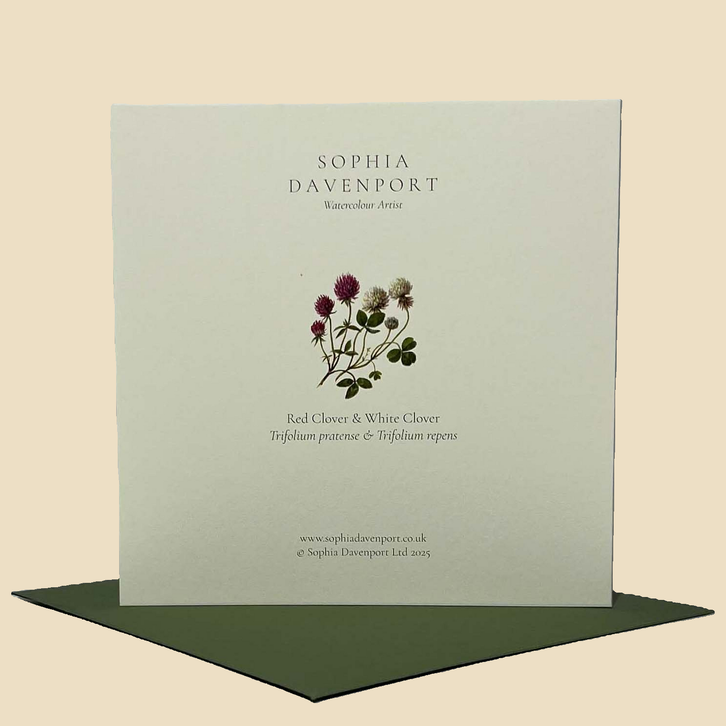 Wildflower Greeting Cards and Notelets