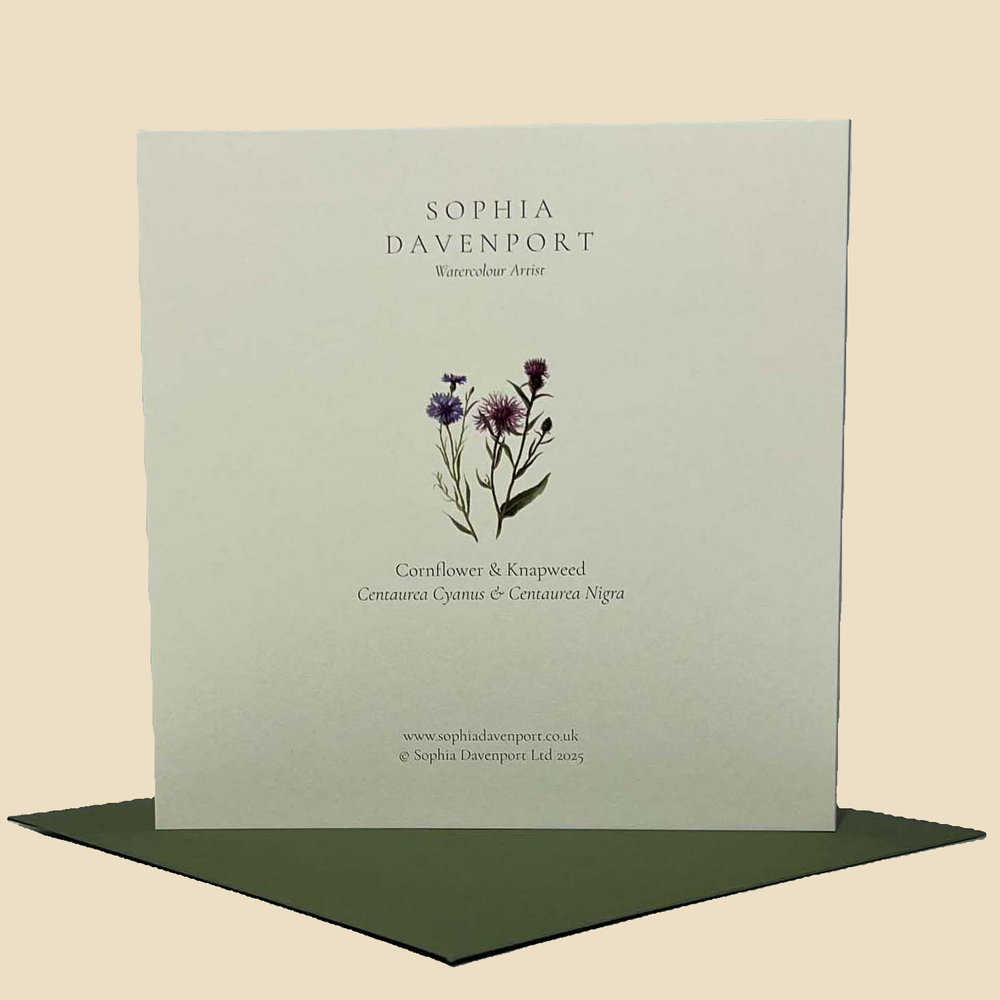 Wildflower Greeting Cards and Notelets