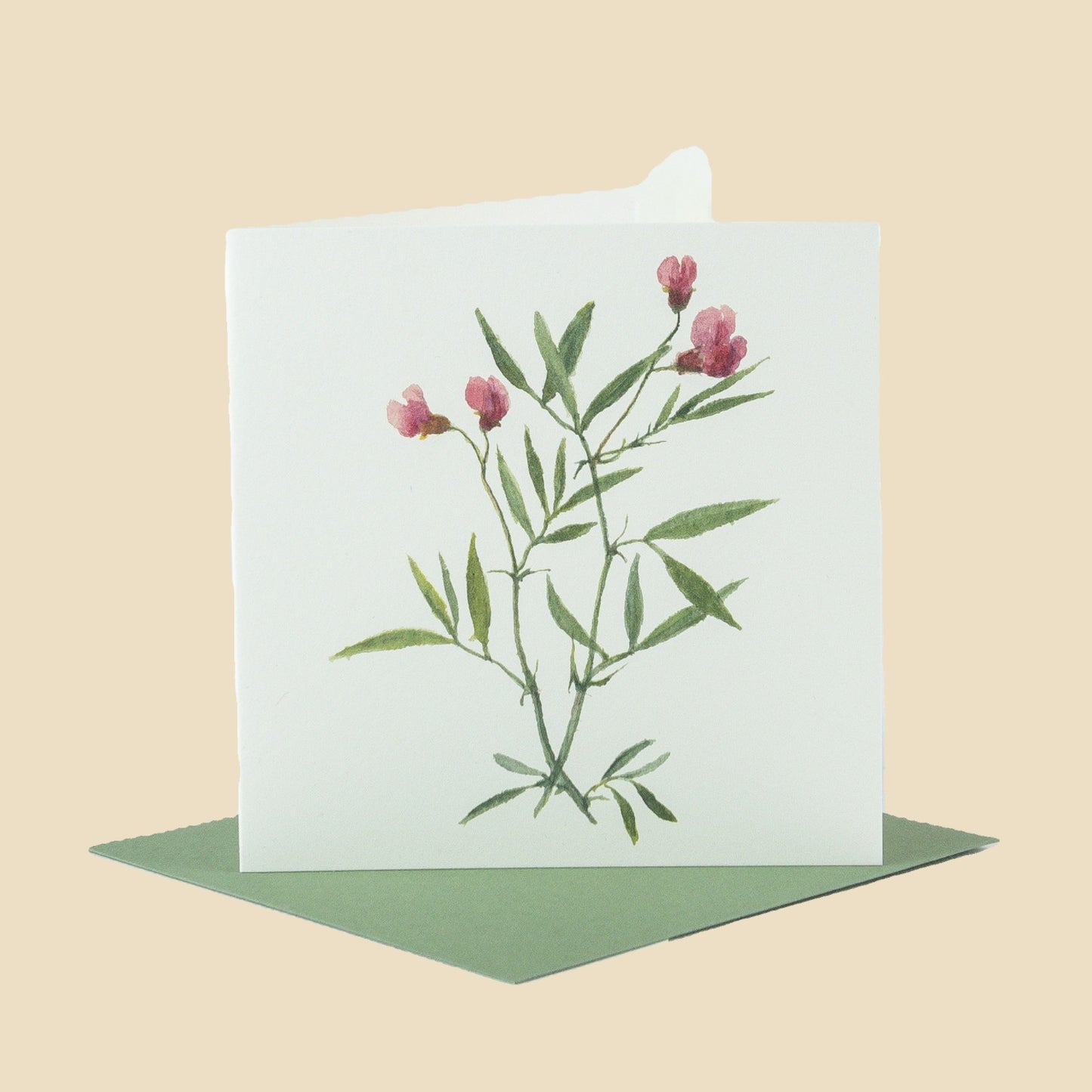 Crimson Vetchling
