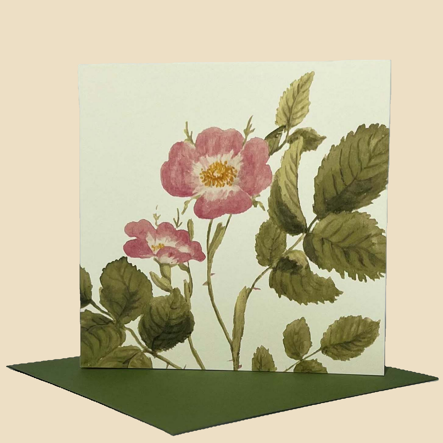 Wildflower Greeting Cards and Notelets