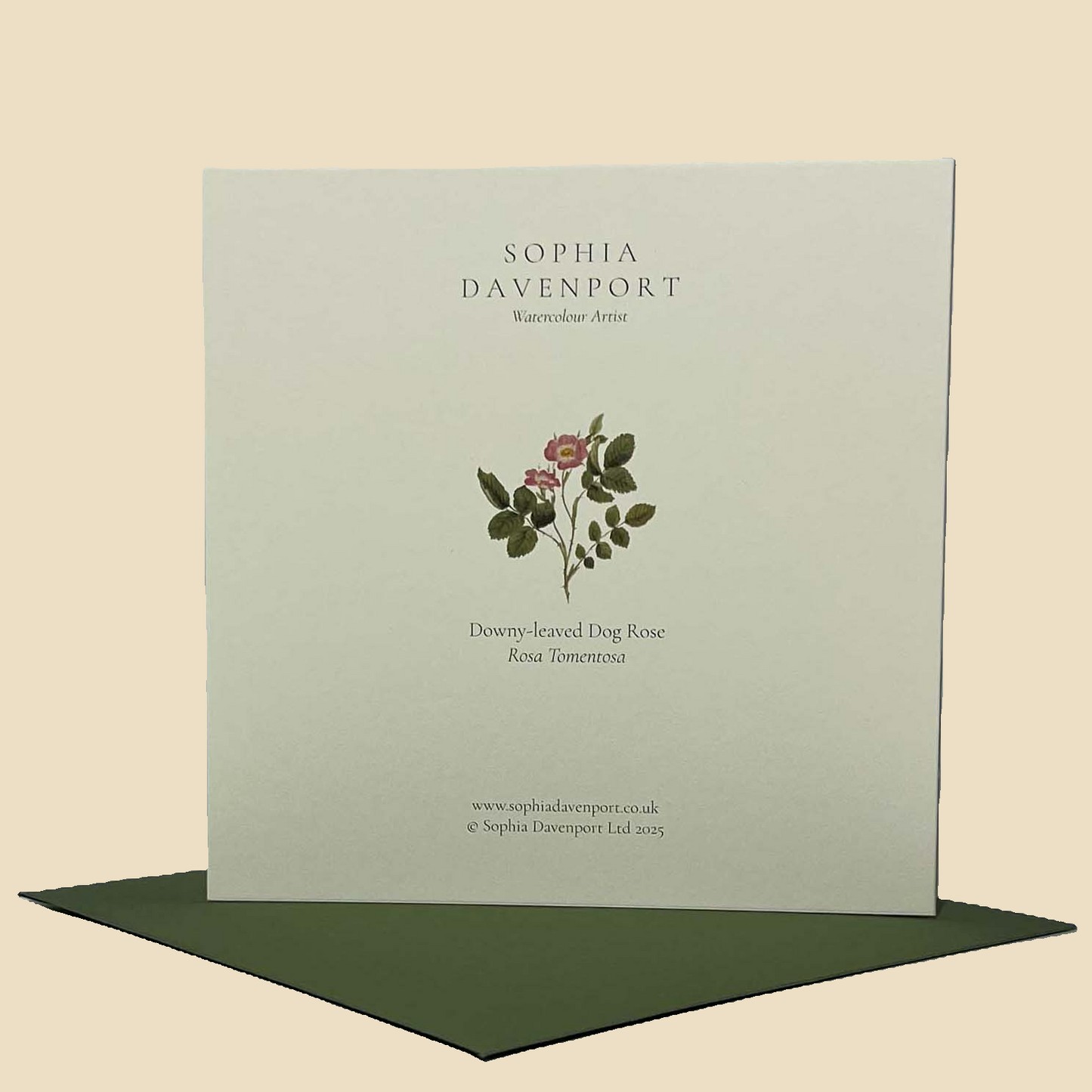 Wildflower Greeting Cards and Notelets