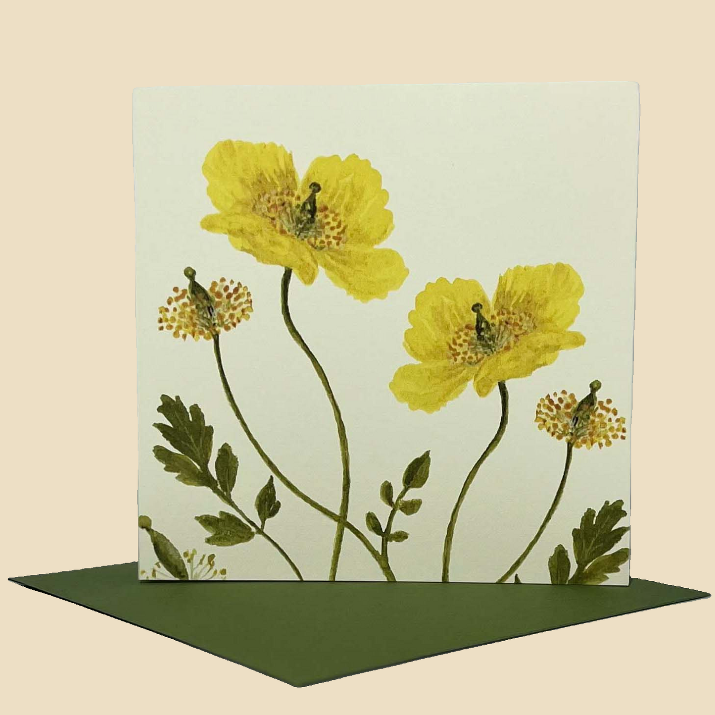 Wildflower Greeting Cards and Notelets