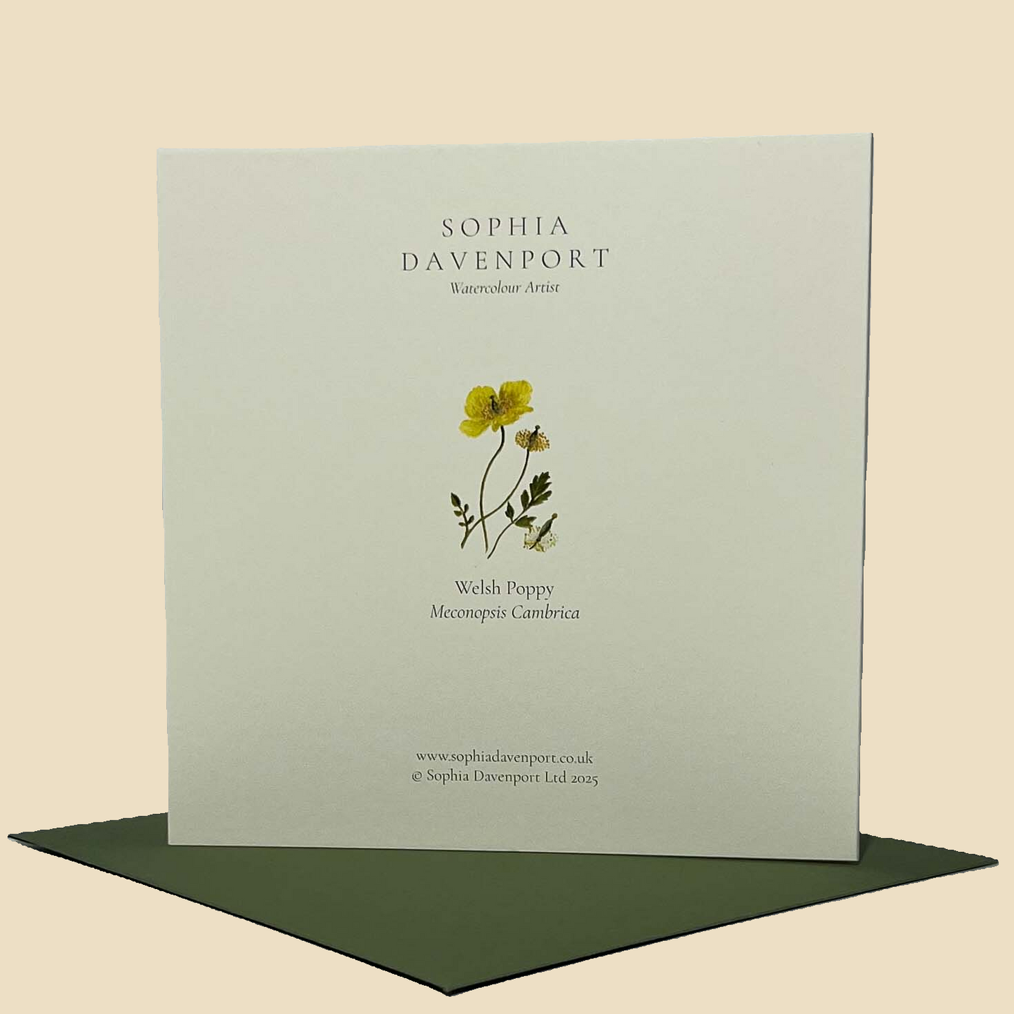 Wildflower Greeting Cards and Notelets
