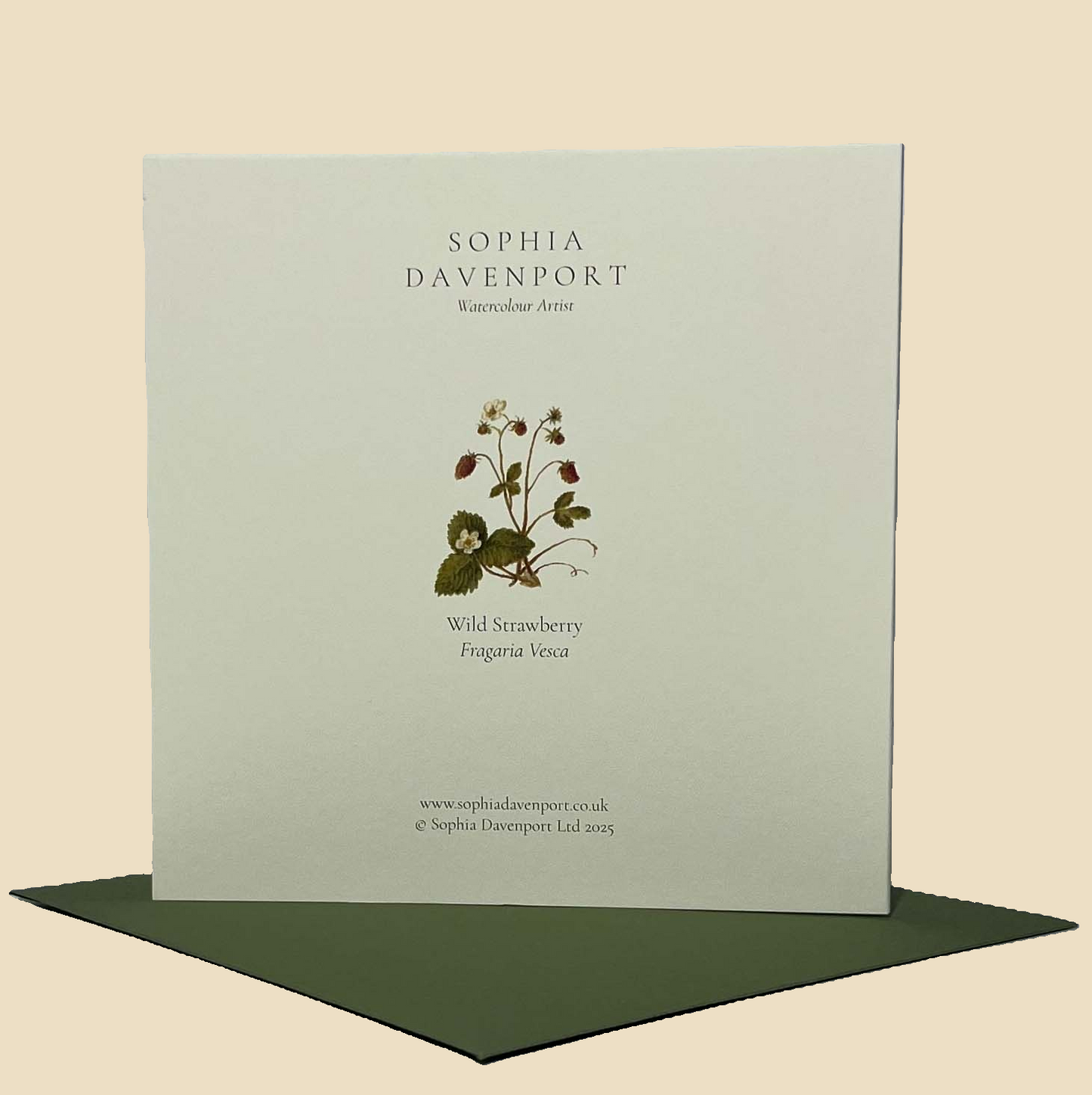Wildflower Greeting Cards and Notelets