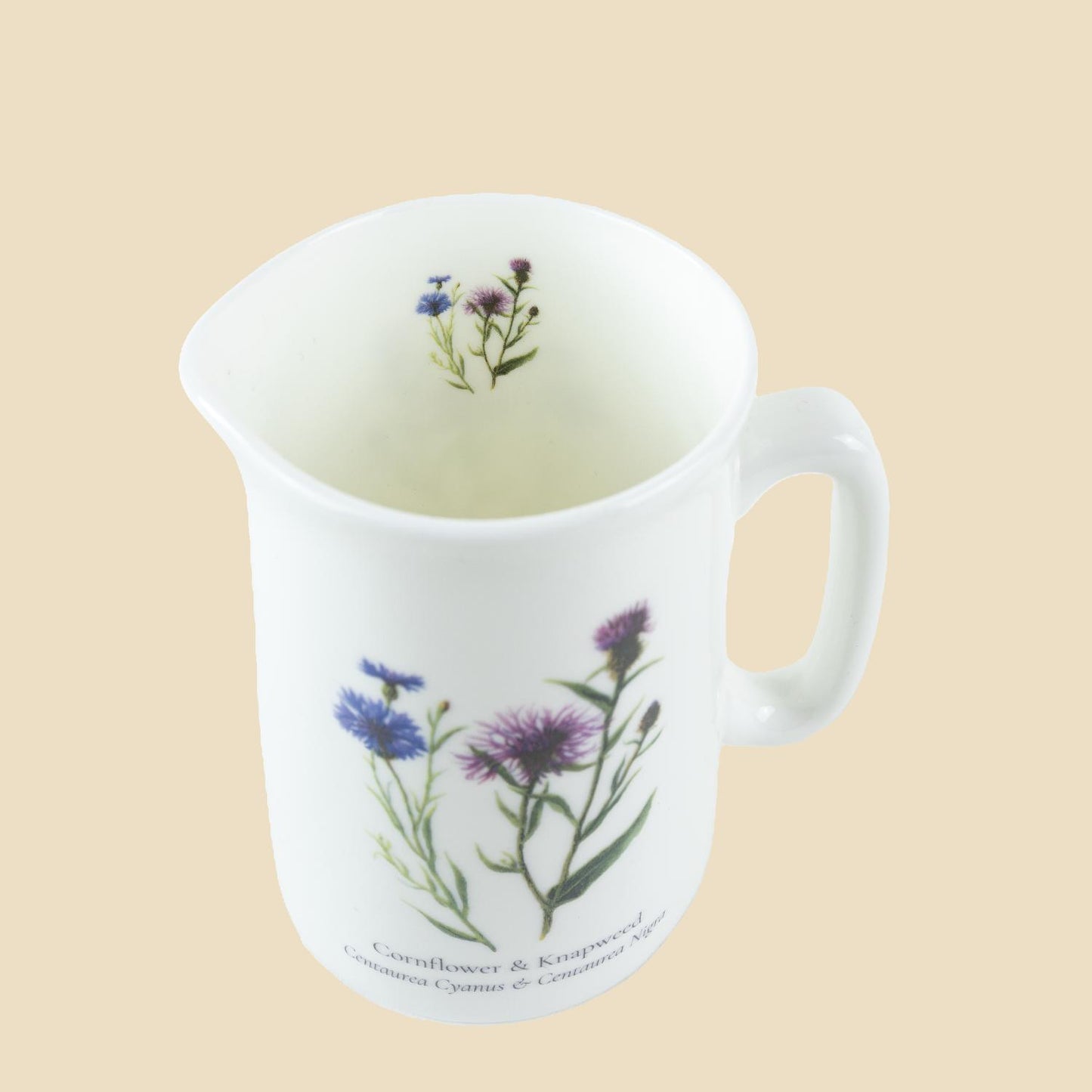 Cornflower