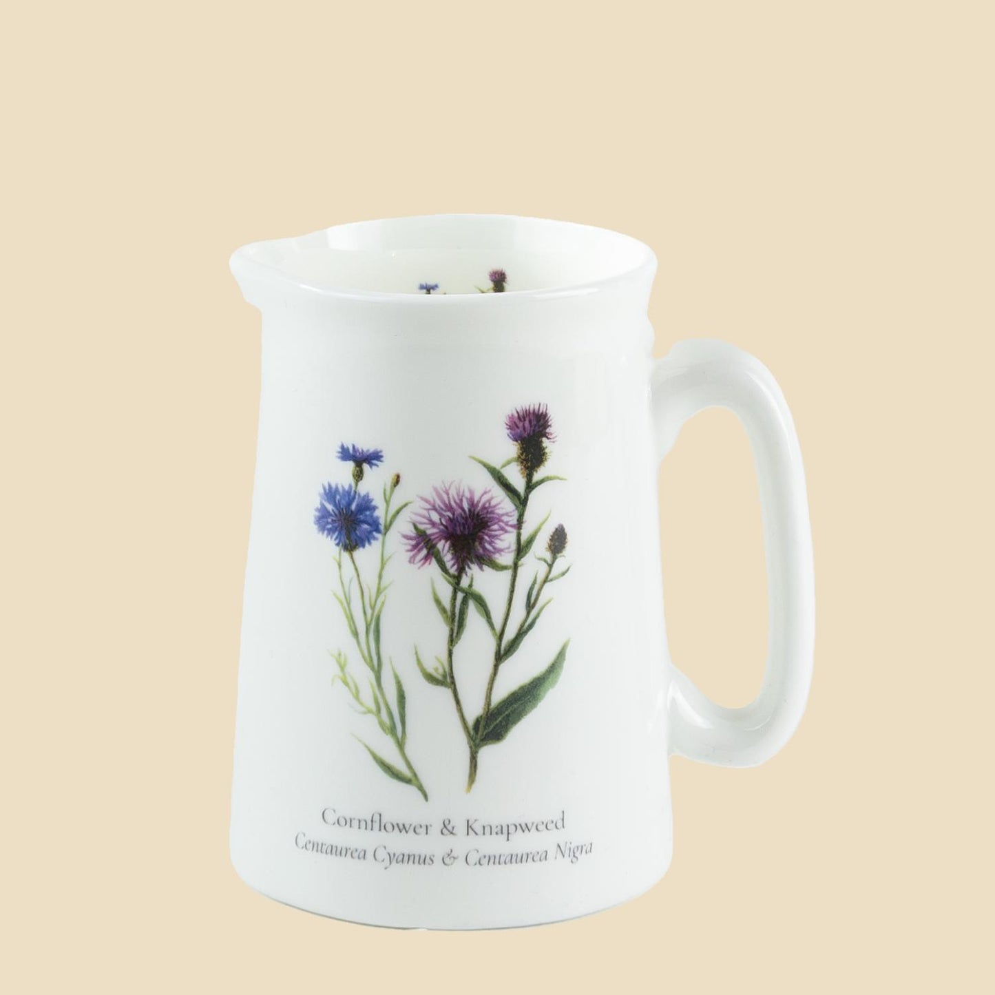 Cornflower