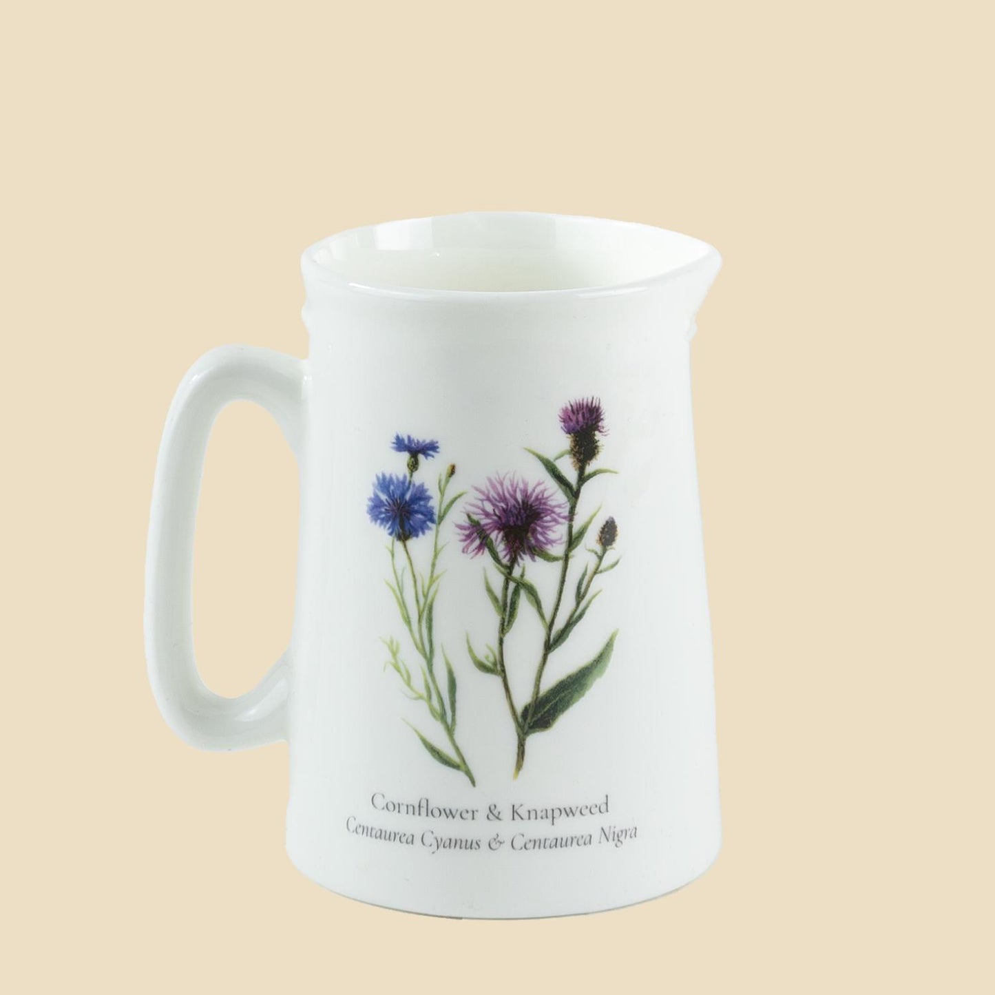 Cornflower