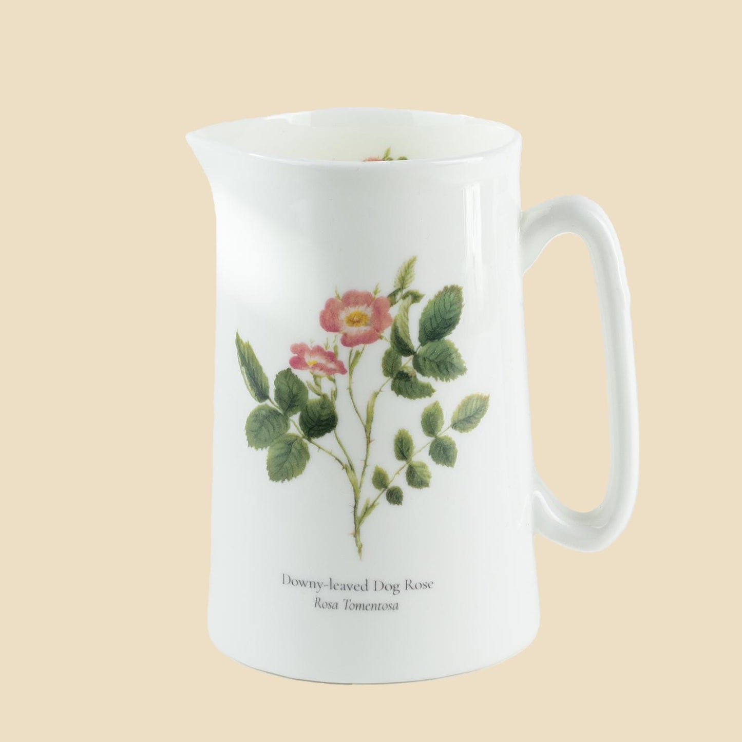 Dog Rose