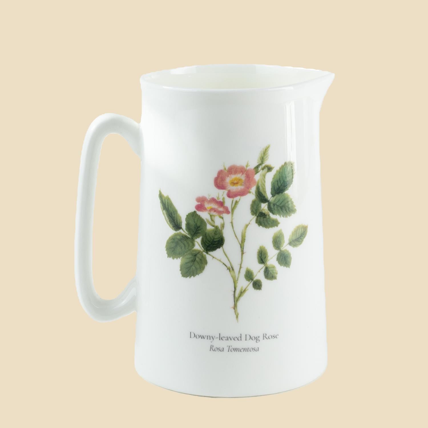 Dog Rose