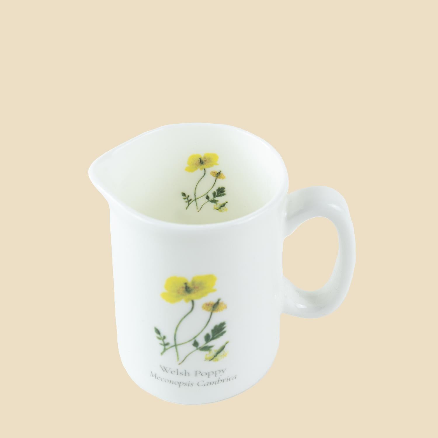 Welsh Poppy