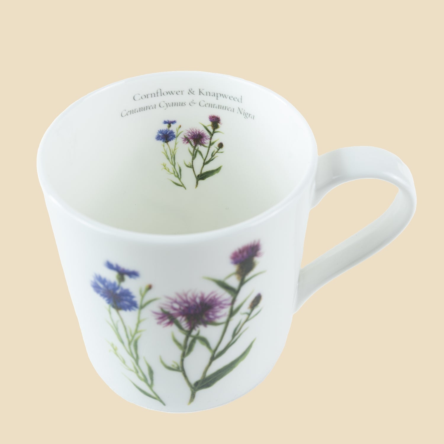 Cornflower