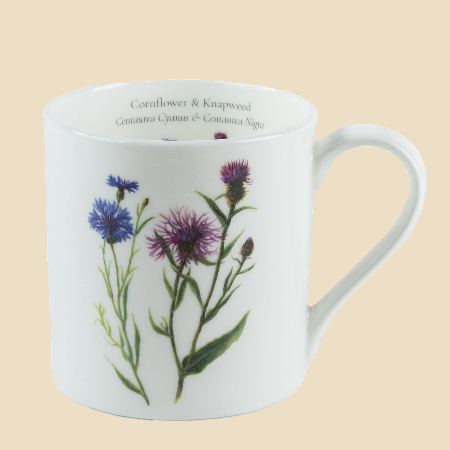 Cornflower